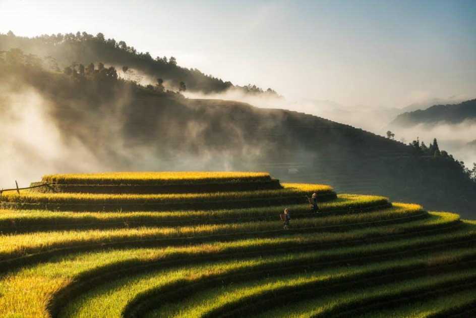 農地整地一坪多少錢？