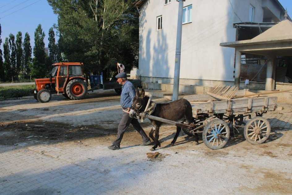 如何查詢土地是否有設定？